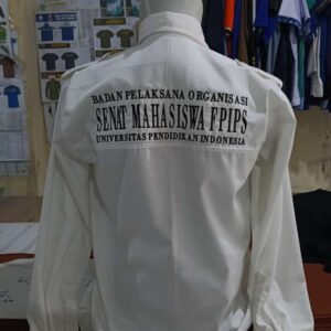 galeii (5) galeii (5)